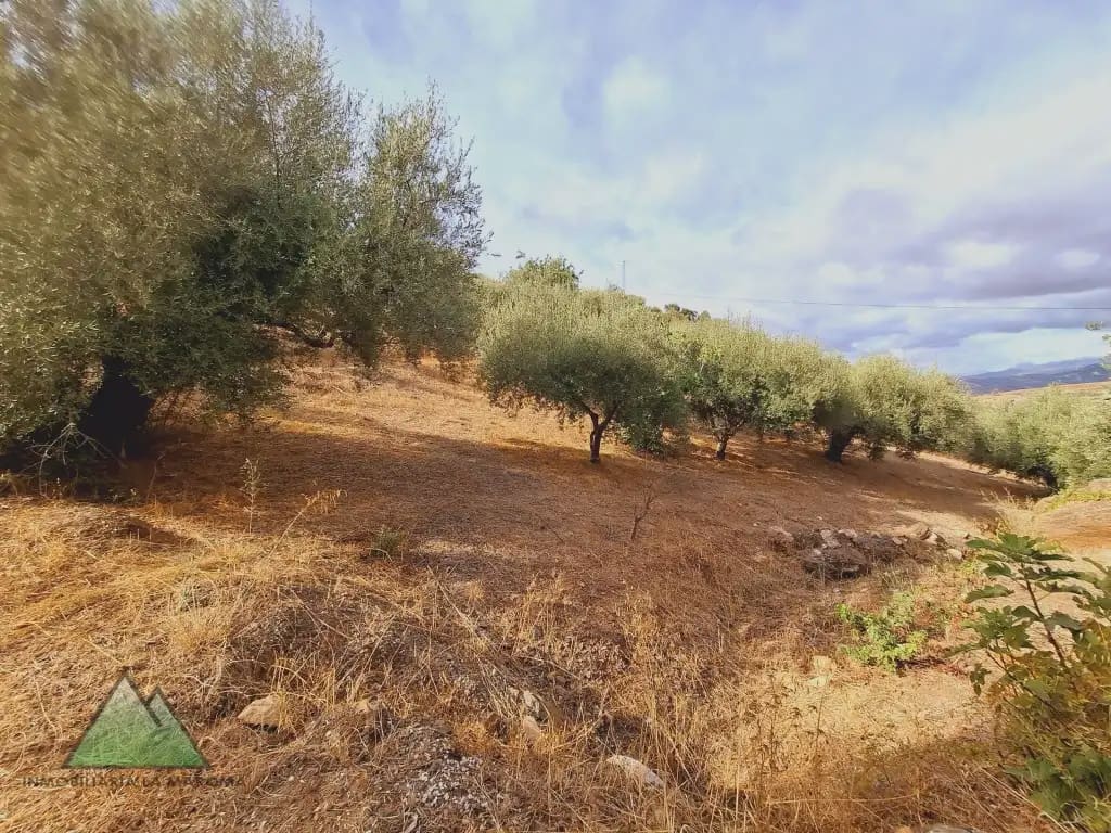 3 quarto Quinta/Casa Rural para venda em Alcaucin - 160 000 € (Ref: 10078856)