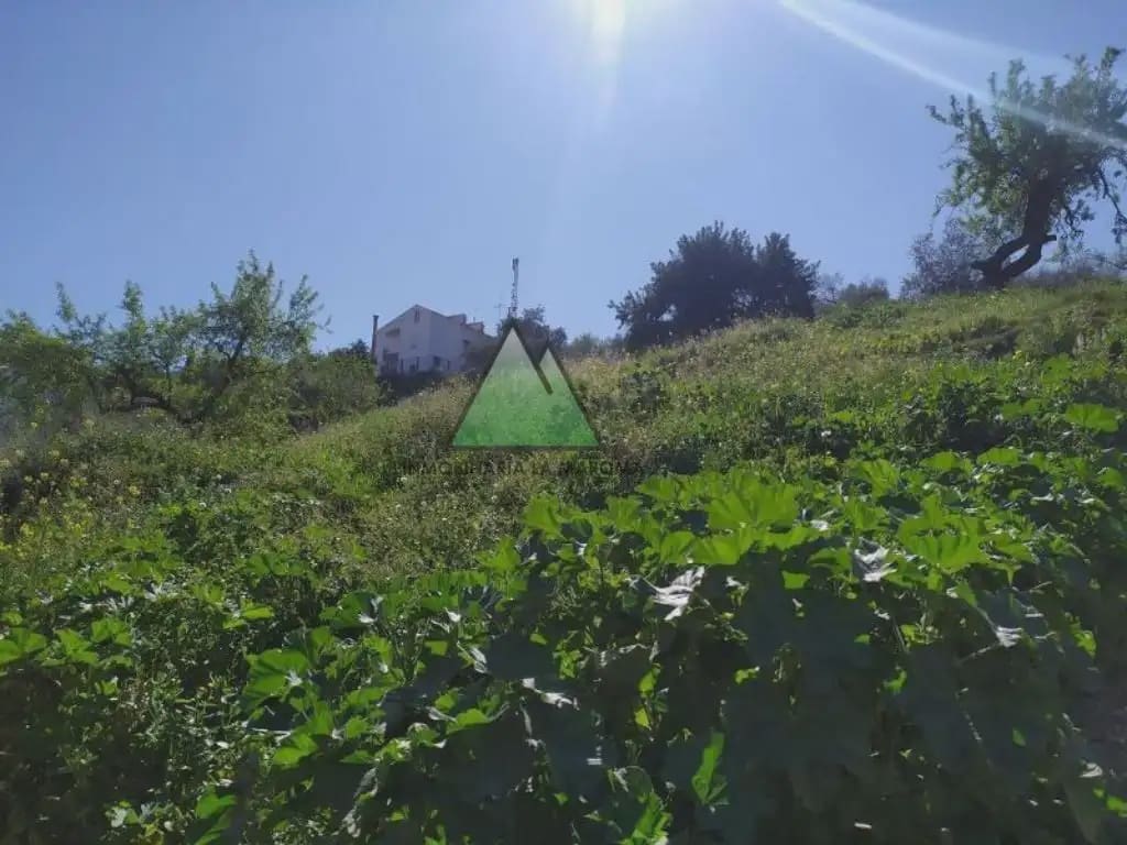 Bauplatz zu verkaufen in Vinuela - 50.000 € (Ref: 10078872)