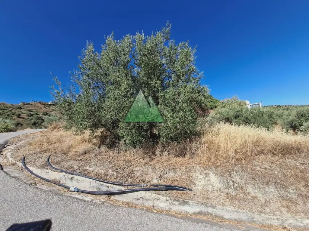 Building Plot for sale in Vinuela - € 96,000 (Ref: 10078884)