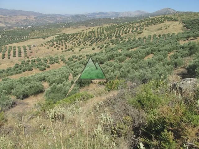 Terreno Não Urbanizado para venda em Alcaucín - 132 500 € (Ref: 10078887)