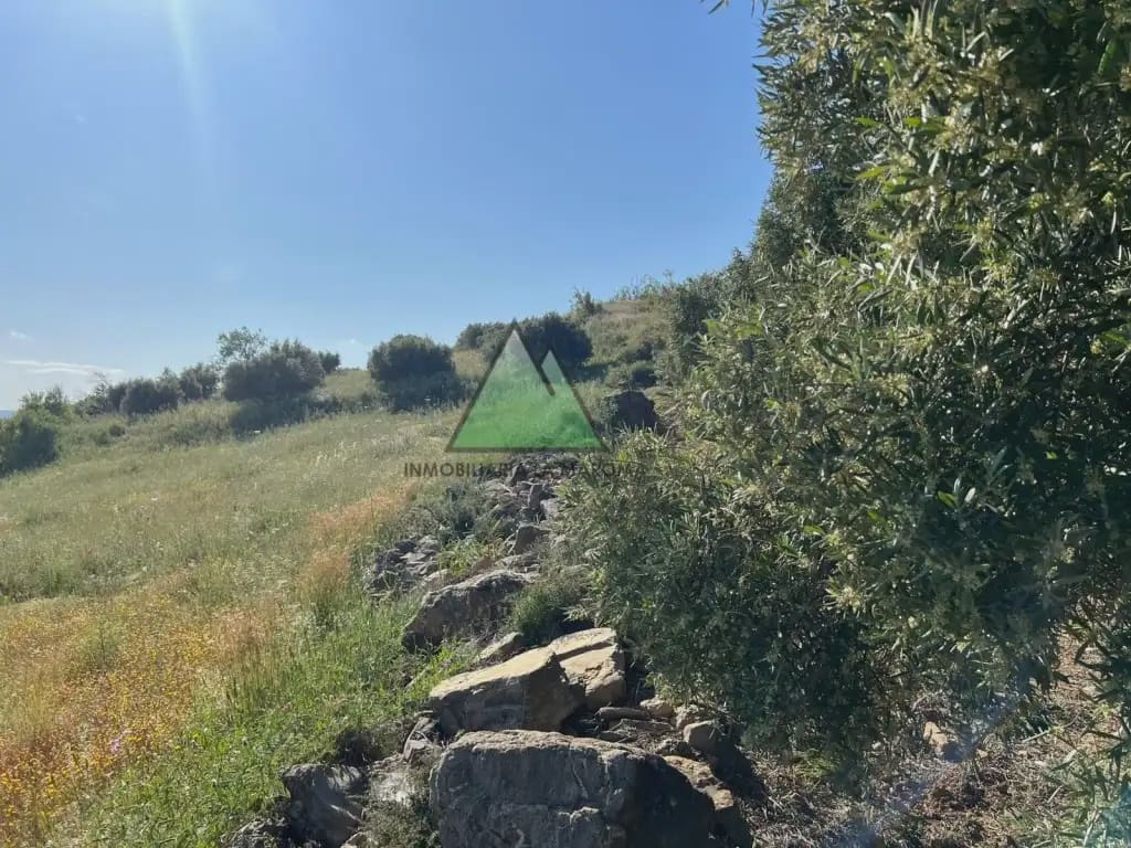 Grunde uden byggetilladelser til salg i Alcaucin - € 65.000 (Ref: 10078901)