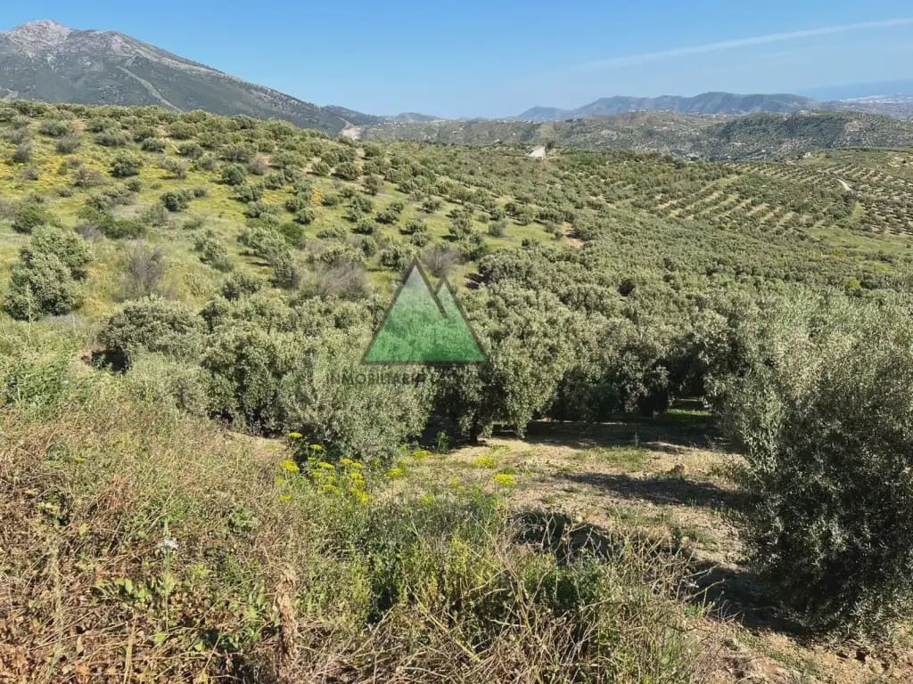 Grunde uden byggetilladelser til salg i Alcaucin - € 65.000 (Ref: 10078901)