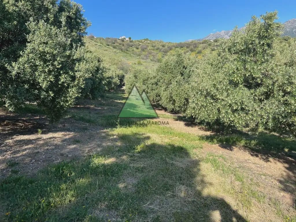 Grunde uden byggetilladelser til salg i Alcaucin - € 65.000 (Ref: 10078901)