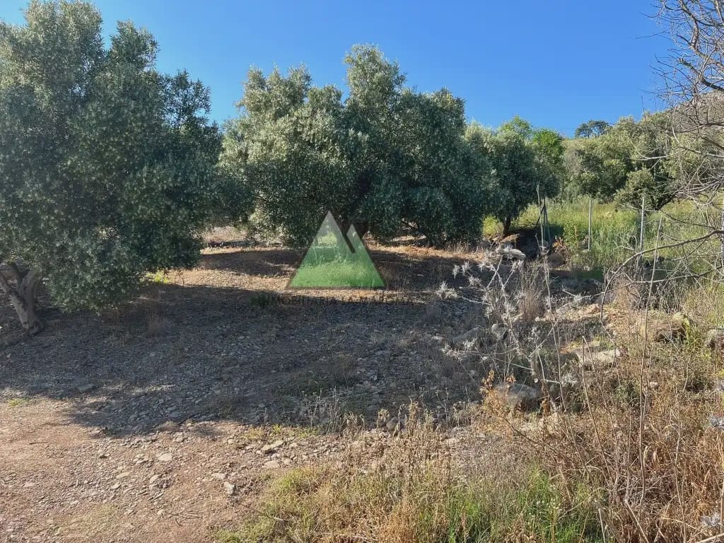 Grunde uden byggetilladelser til salg i Alcaucin - € 65.000 (Ref: 10078901)