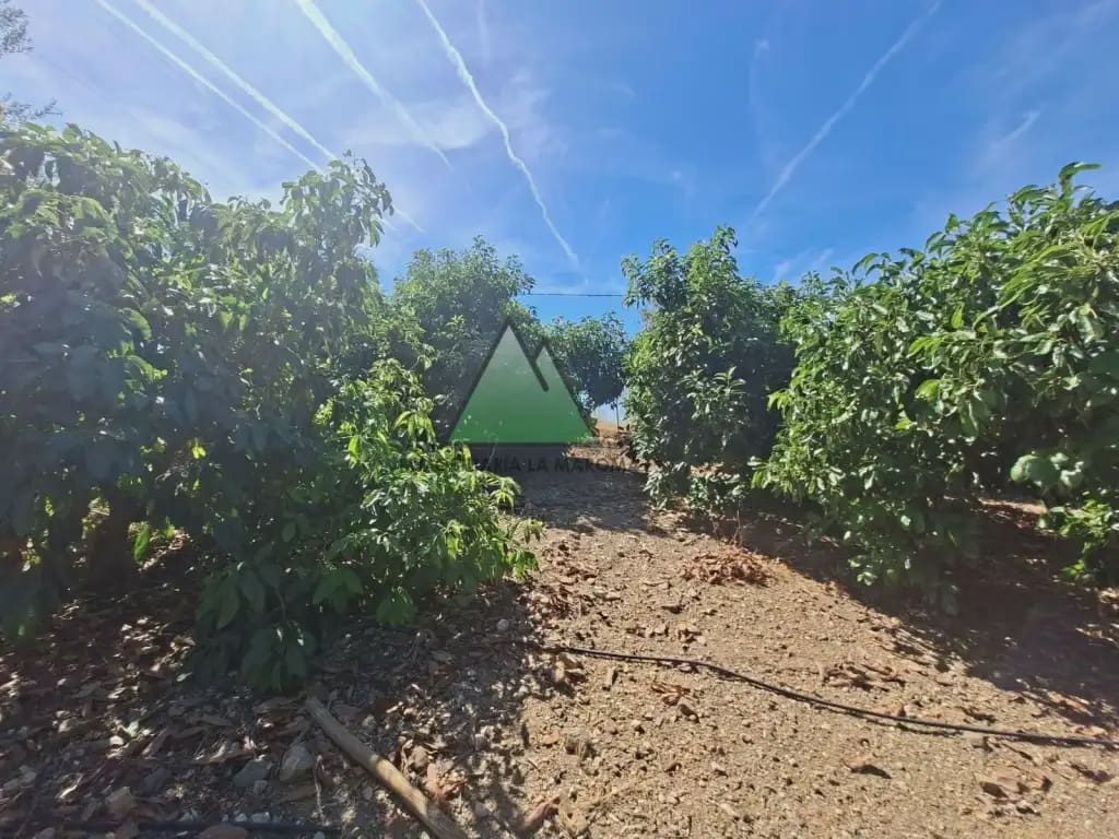 2 soverom Finca/Herregård til salgs i Alcaucin med garasje - € 478 000 (Ref: 10147381)