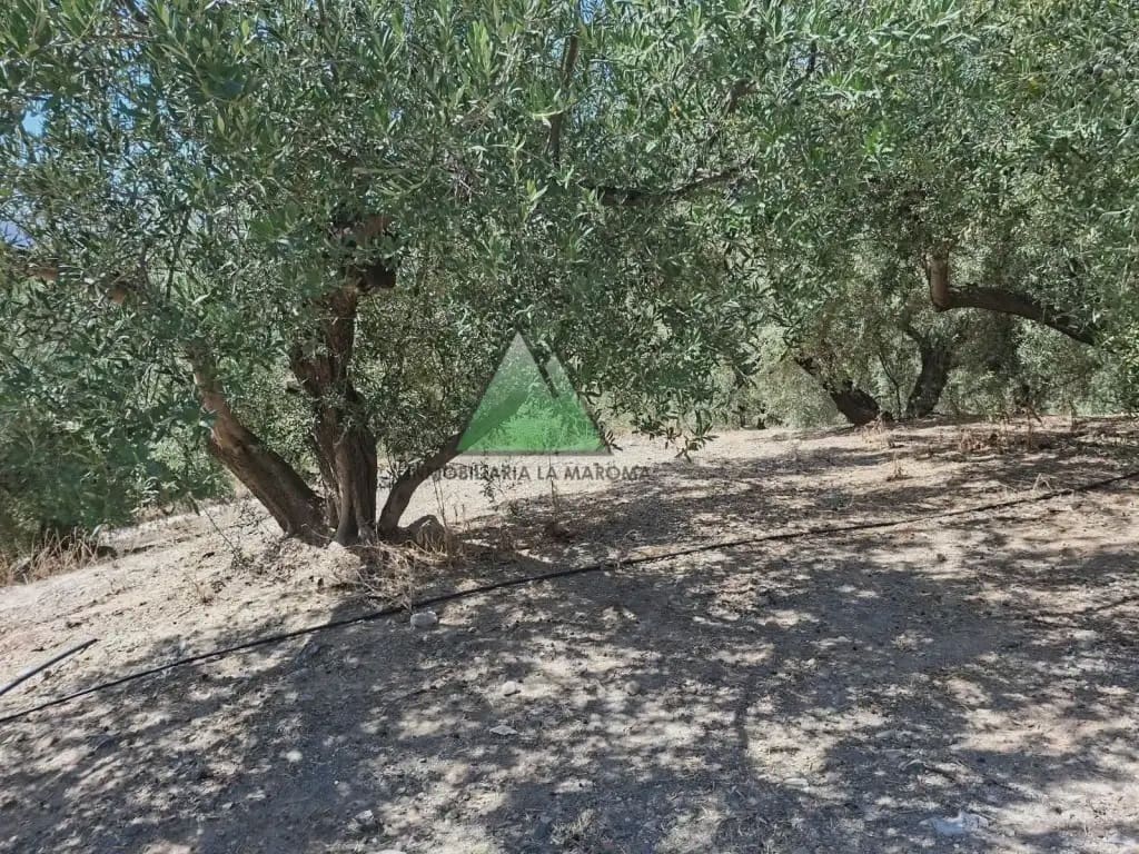 2 soverom Finca/Herregård til salgs i Alcaucin med garasje - € 478 000 (Ref: 10147381)