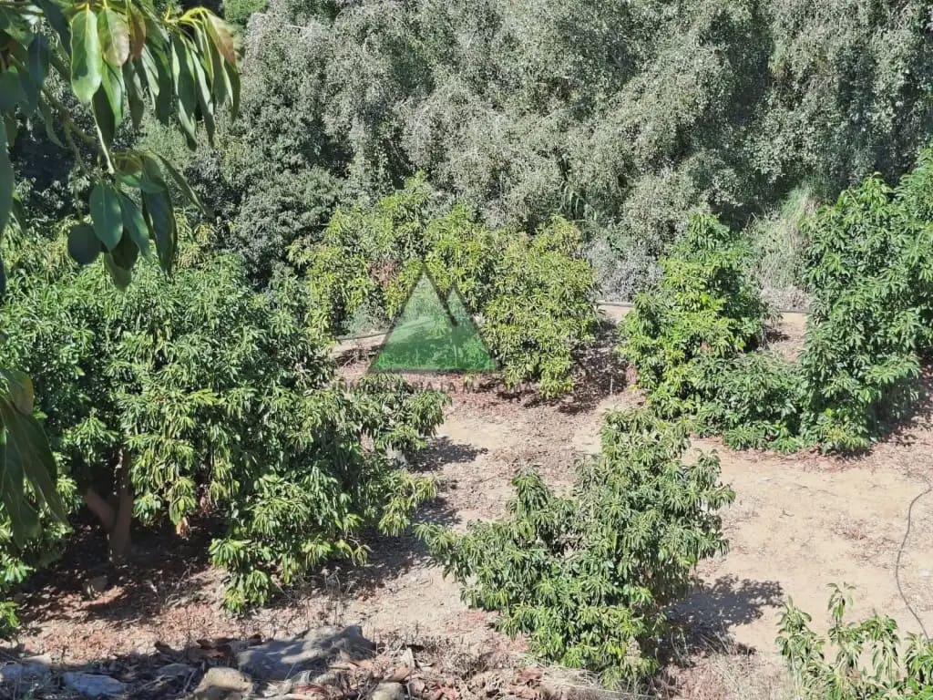 2 soverom Finca/Herregård til salgs i Alcaucin med garasje - € 478 000 (Ref: 10147381)
