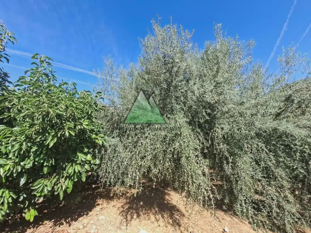 2 soverom Finca/Herregård til salgs i Alcaucin med garasje - € 478 000 (Ref: 10147381)