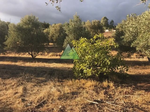 Grond te koop in Venta Baja, Alcaucín - € 325.000 (Ref: 10159927)