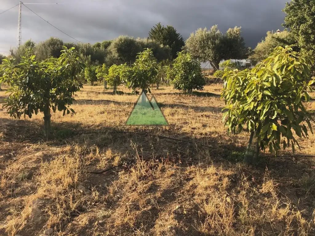 Grond te koop in Alcaucin - € 325.000 (Ref: 10159927)