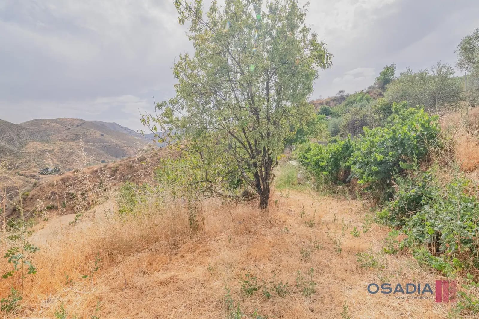 Finca/Casa Rural de 3 habitaciones en Monachil en venta - 229.000 € (Ref: 10100620)