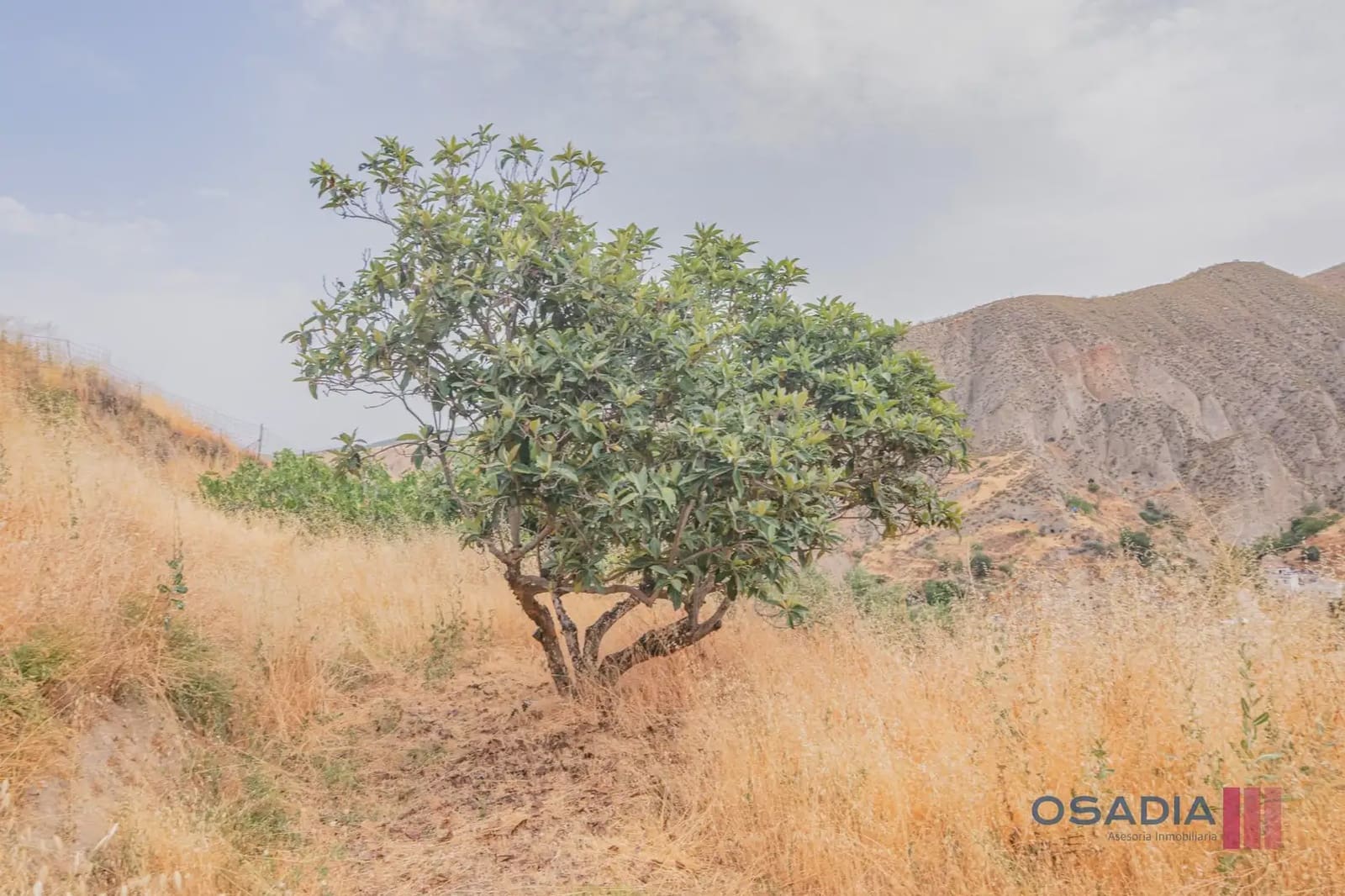 Finca/Casa Rural de 3 habitaciones en Monachil en venta - 229.000 € (Ref: 10100620)