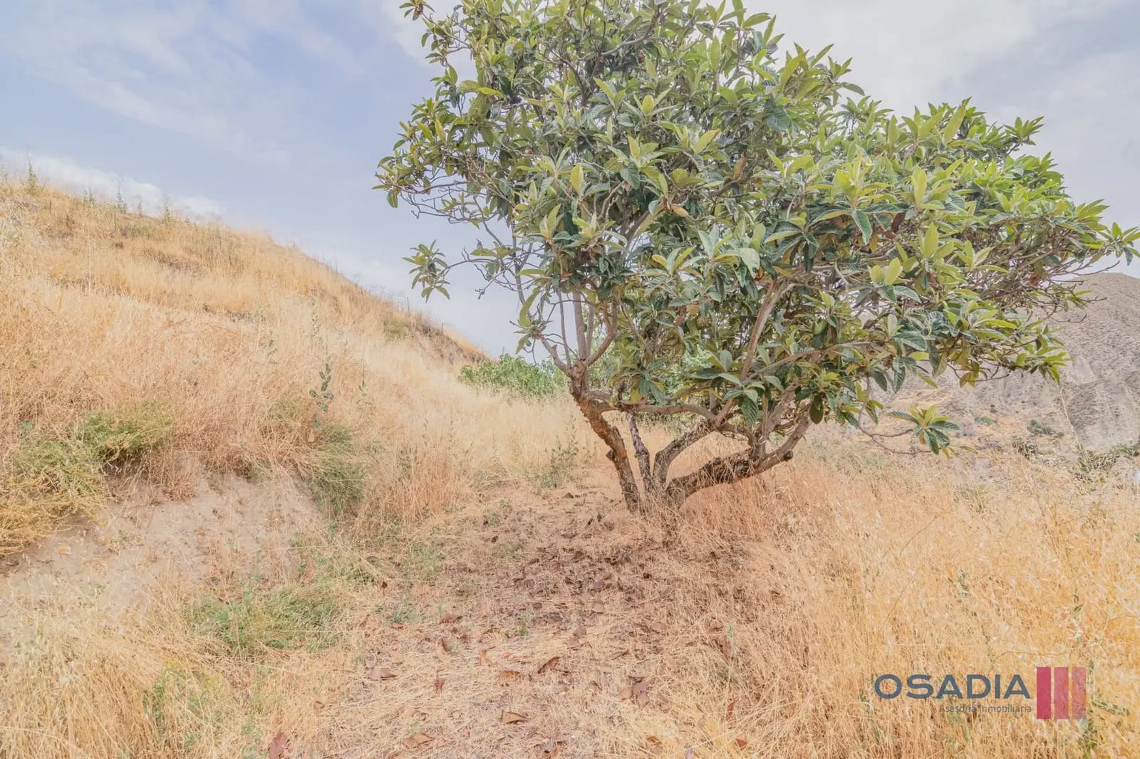Finca/Casa Rural de 3 habitaciones en Monachil en venta - 229.000 € (Ref: 10100620)