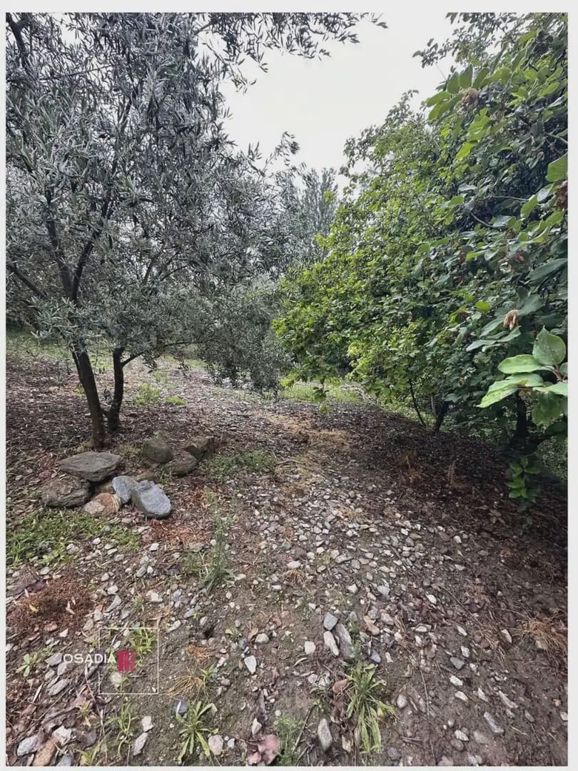 Terre non Aménagée à vendre à Monachil - 105 900 € (Ref: 10100627)