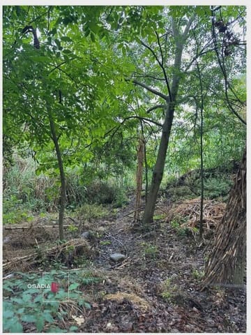 Terre non Aménagée à vendre à Monachil - 105 900 € (Ref: 10100627)