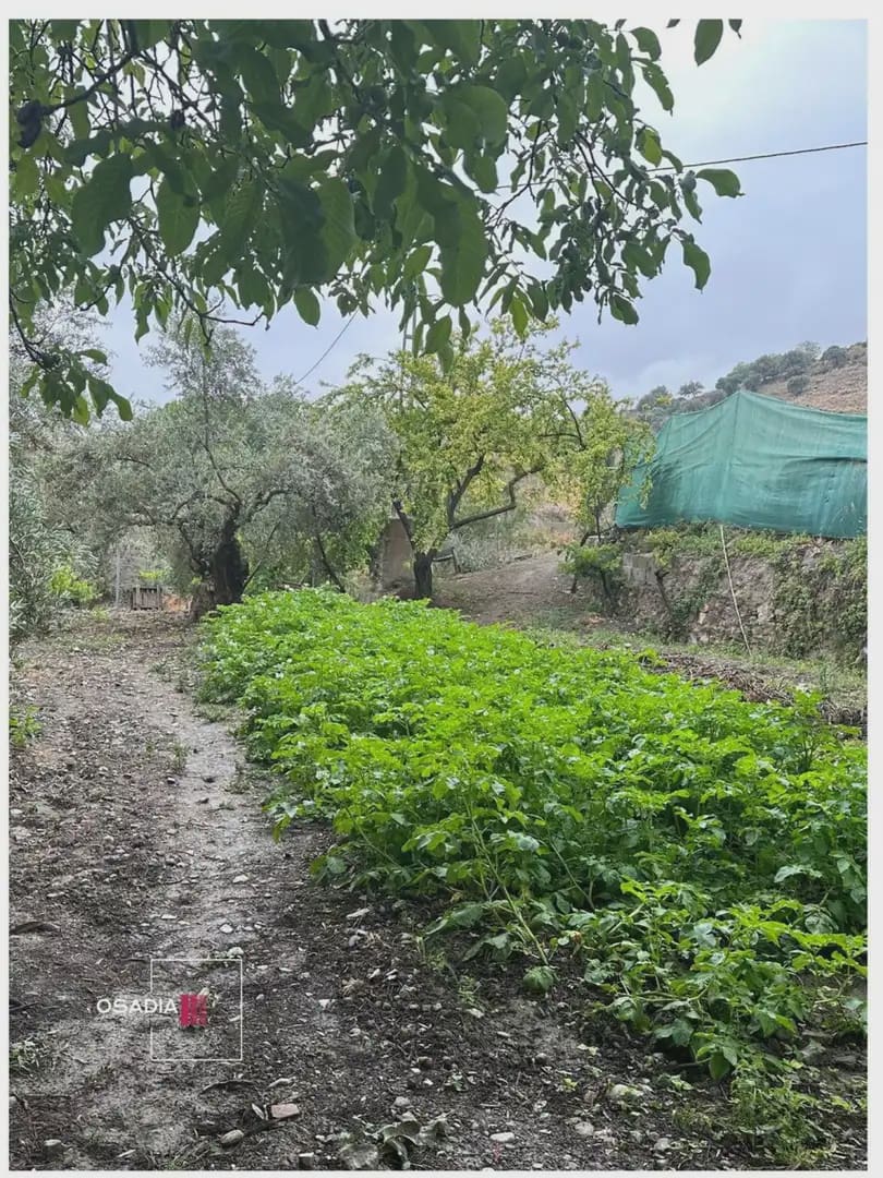 Terre non Aménagée à vendre à Monachil - 105 900 € (Ref: 10100627)
