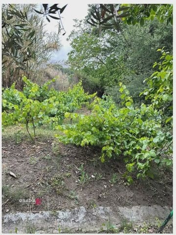 Terre non Aménagée à vendre à Monachil - 105 900 € (Ref: 10100627)