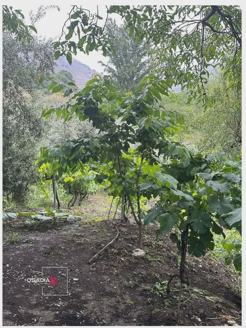 Terre non Aménagée à vendre à Monachil - 105 900 € (Ref: 10100627)