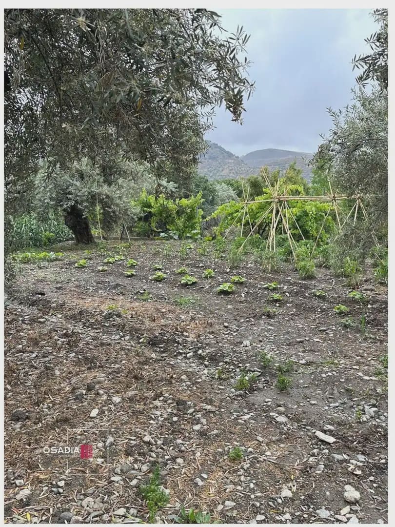 Terre non Aménagée à vendre à Monachil - 105 900 € (Ref: 10100627)