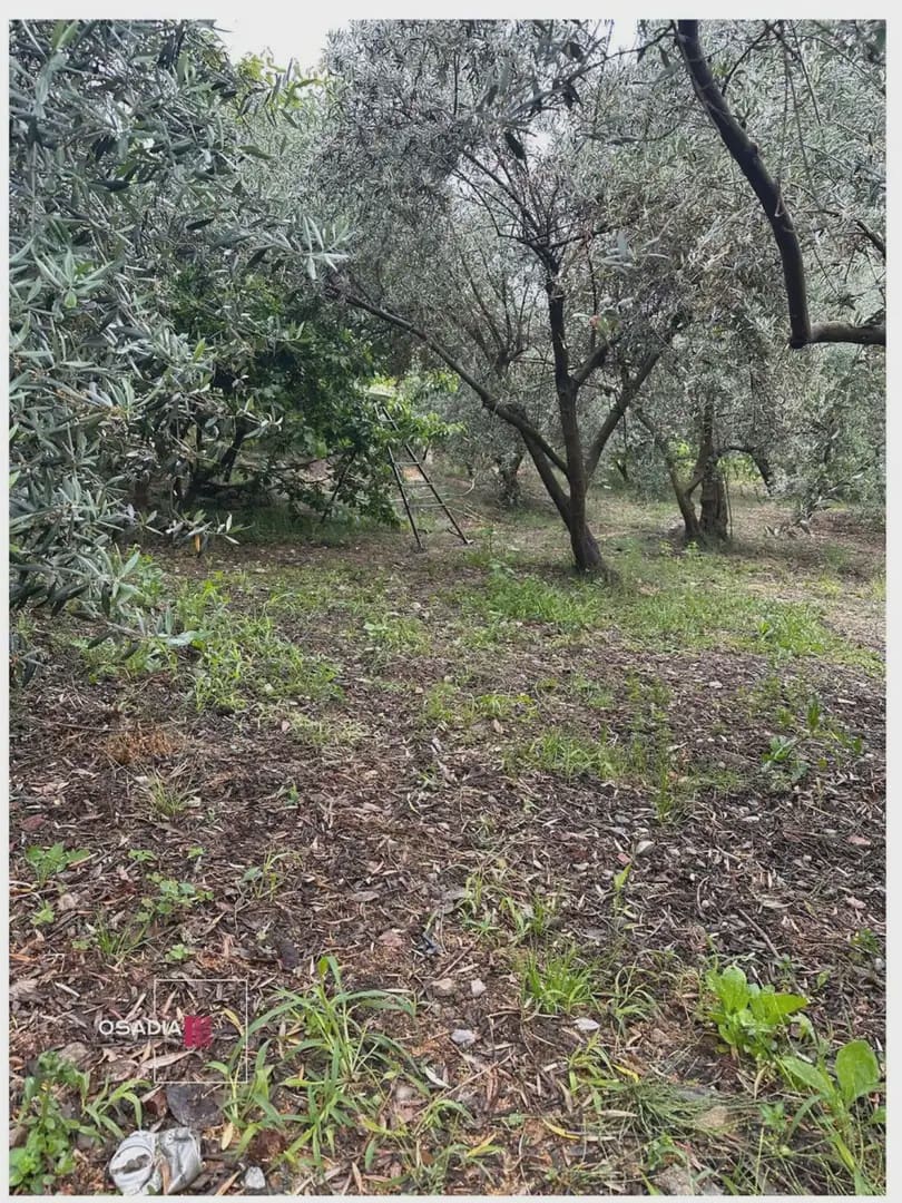 Terre non Aménagée à vendre à Monachil - 105 900 € (Ref: 10100627)