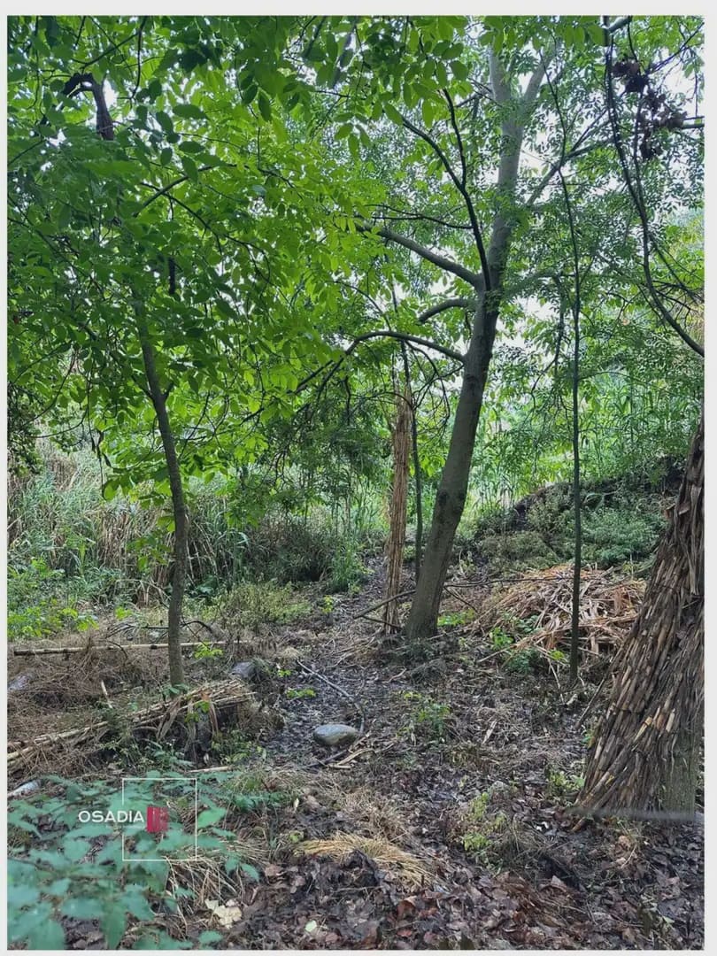 Terre non Aménagée à vendre à Monachil - 105 900 € (Ref: 10100627)