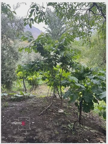 Terre non Aménagée à vendre à Monachil - 105 900 € (Ref: 10100627)