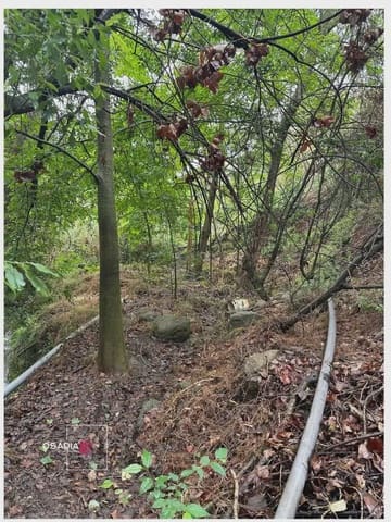 Terre non Aménagée à vendre à Monachil - 105 900 € (Ref: 10100627)