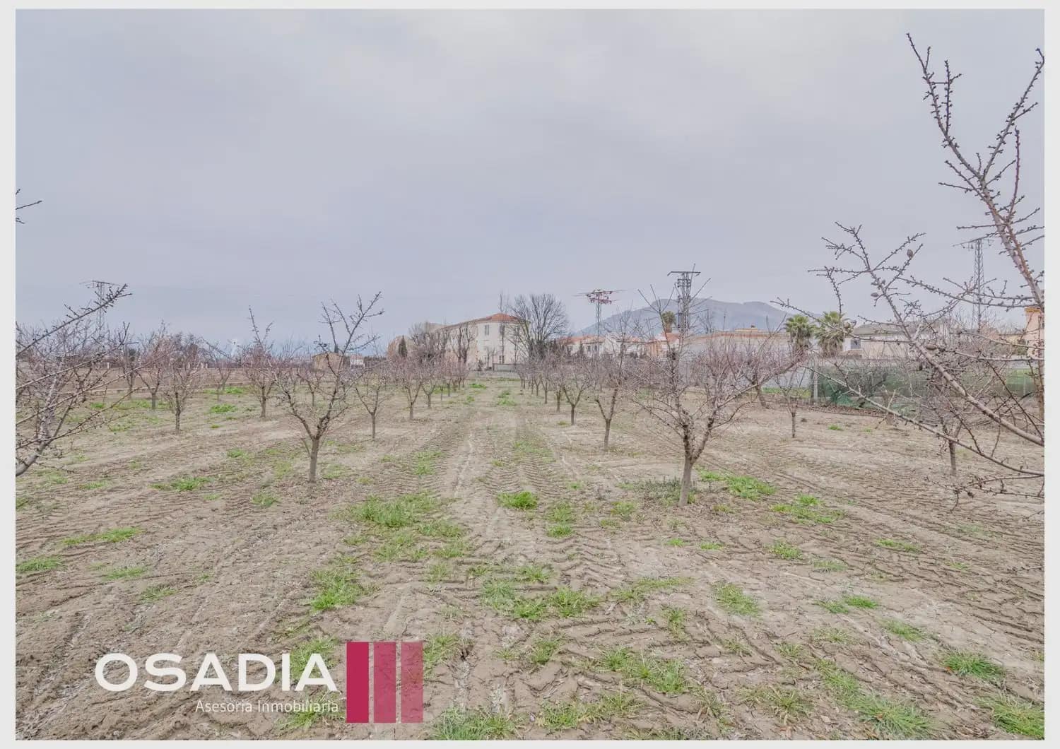 4 bedroom Villa for sale in Fuente Vaqueros with pool garage - € 590,000 (Ref: 10100650)