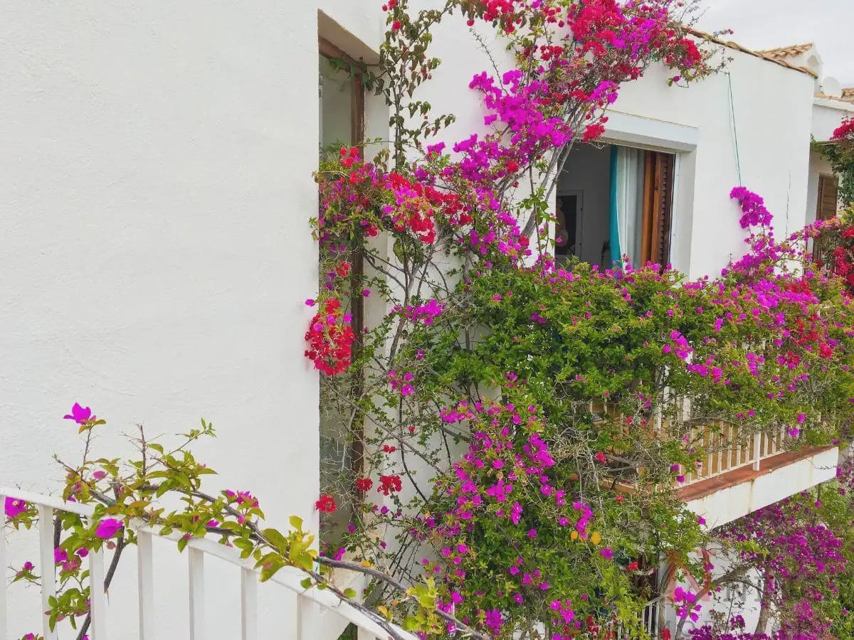 4 soverom Villa til leie i Benicassim - € 2 500 (Ref: 10081661)