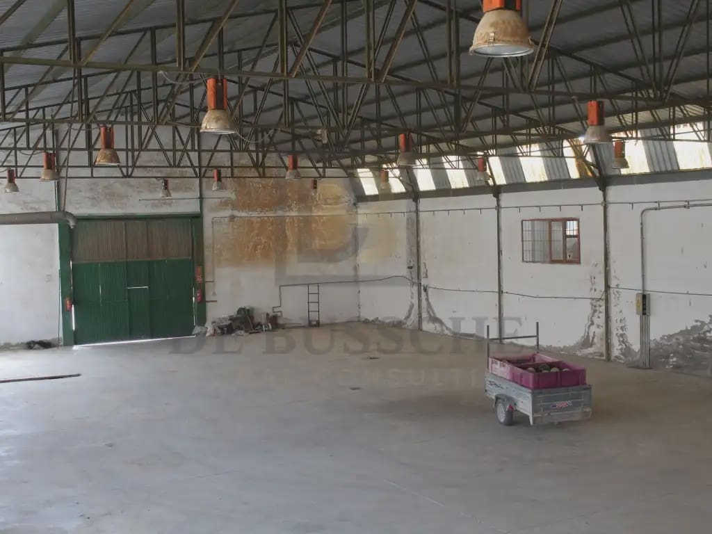 Kommersiell till salu i Bigastro - 450 000 € (Ref: 10081695)