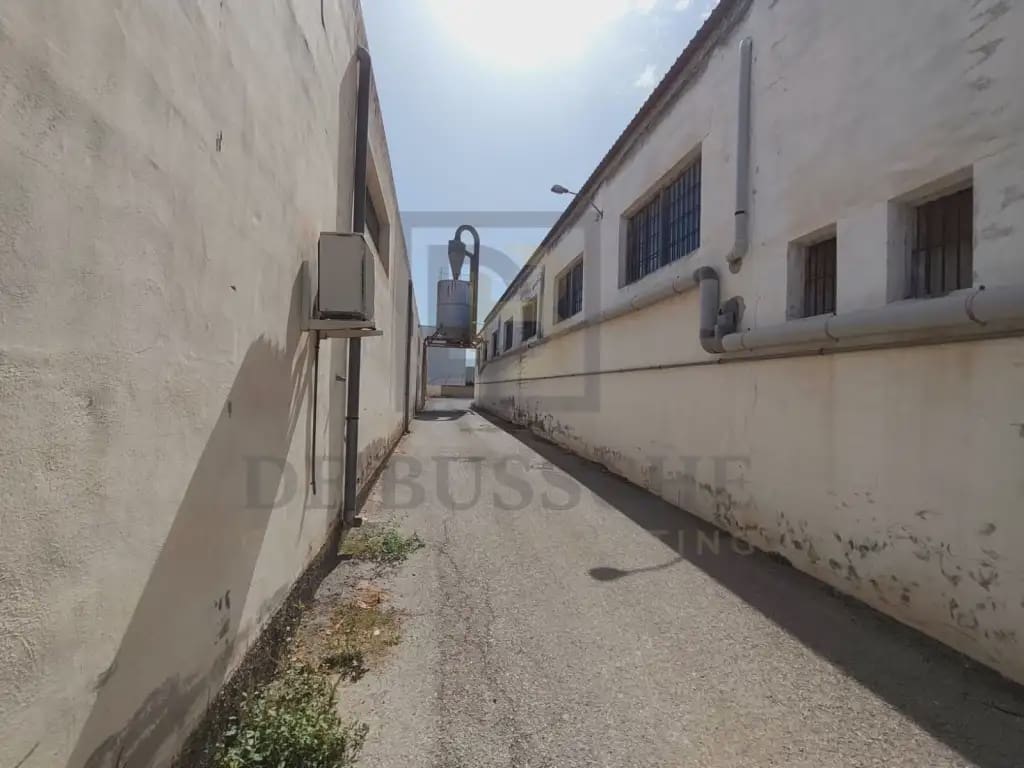 Kommersiell till salu i Bigastro - 450 000 € (Ref: 10081695)