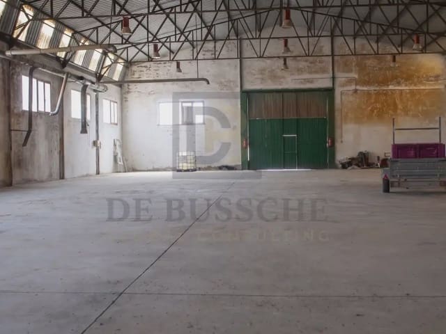Kommersiell till salu i Bigastro - 450 000 € (Ref: 10081695)