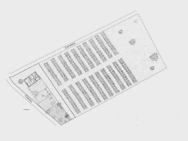 3 sypialnia Finka/Dom wiejski na sprzedaż w Dolores - 110 000 € (Ref: 10081700)