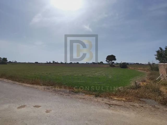 3 sypialnia Finka/Dom wiejski na sprzedaż w Dolores - 110 000 € (Ref: 10081700)