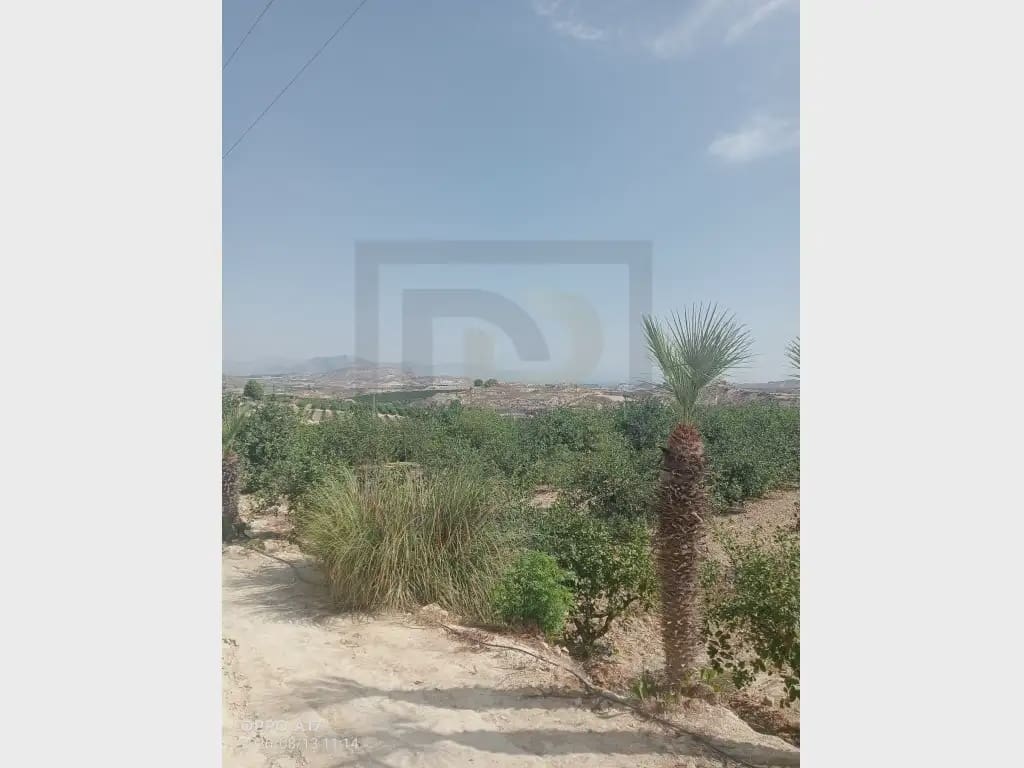 Finca/Country House for sale in Orihuela - € 470,000 (Ref: 10081701)