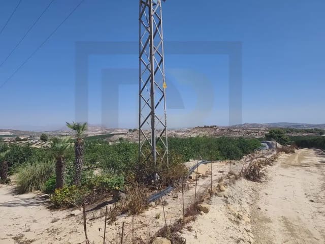 Finca/Country House for sale in Desamparados - Hurchillo - Torremendo, Orihuela - € 470,000 (Ref: 10081701)