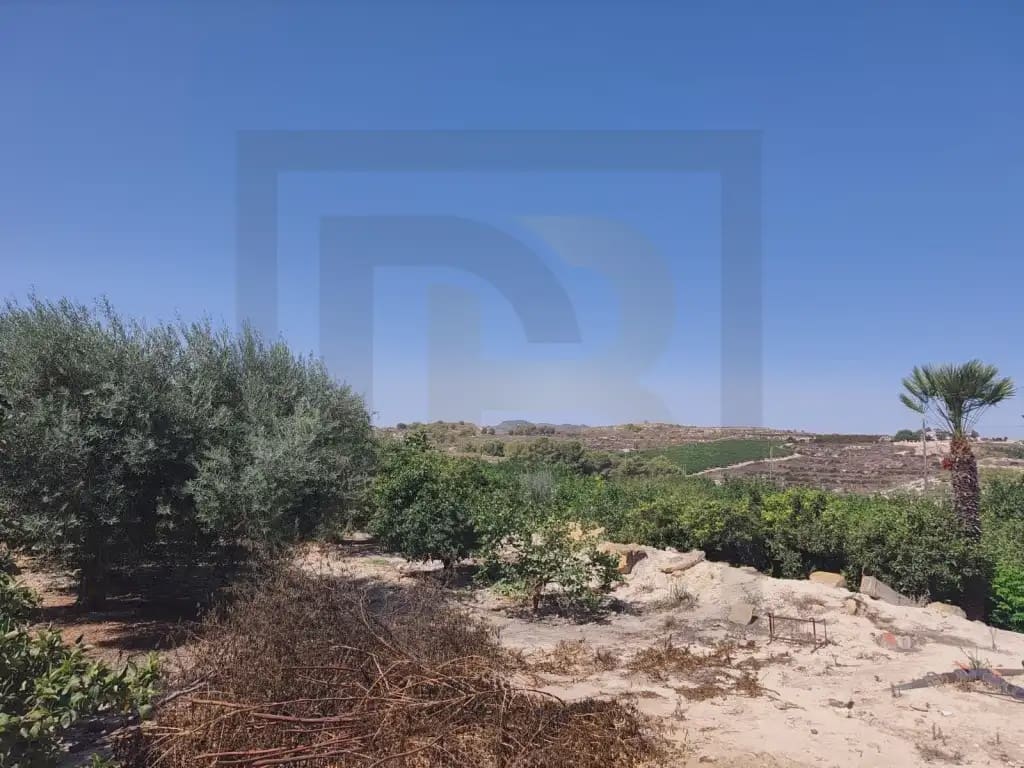 Finca/Country House for sale in Orihuela - € 470,000 (Ref: 10081701)