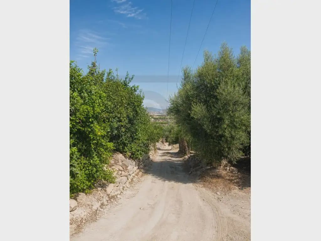 Finca/Country House for sale in Orihuela - € 470,000 (Ref: 10081701)