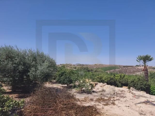 Finca/Country House for sale in Desamparados - Hurchillo - Torremendo, Orihuela - € 470,000 (Ref: 10081701)