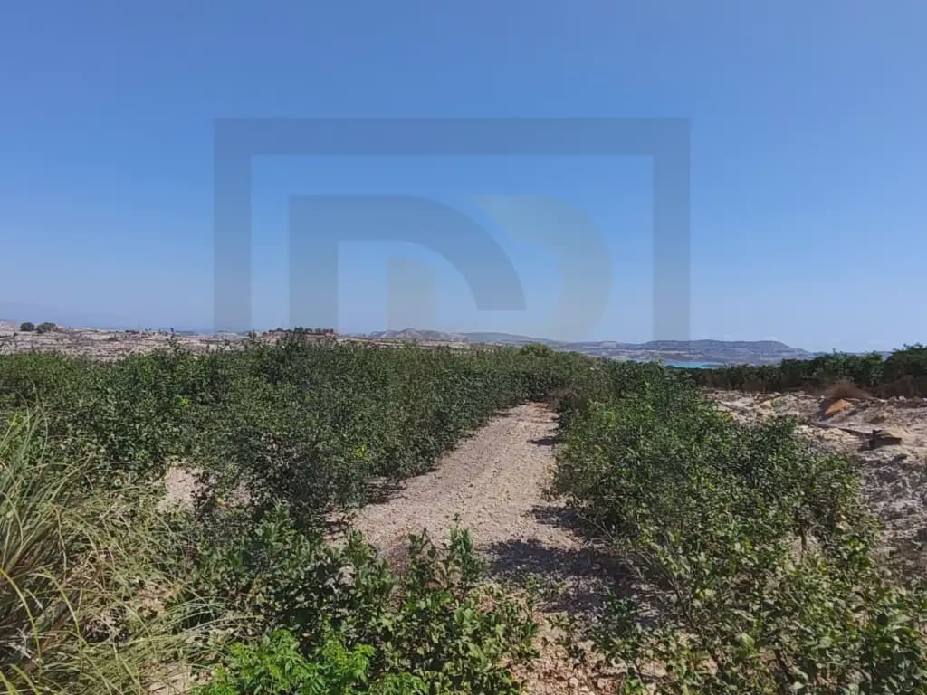 Finca/Country House for sale in Orihuela - € 470,000 (Ref: 10081701)