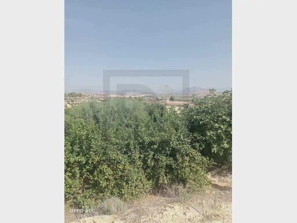 Finca/Country House for sale in Orihuela - € 470,000 (Ref: 10081701)