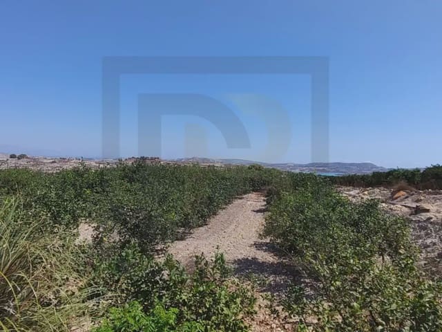 Finca/Country House for sale in Desamparados - Hurchillo - Torremendo, Orihuela - € 470,000 (Ref: 10081701)