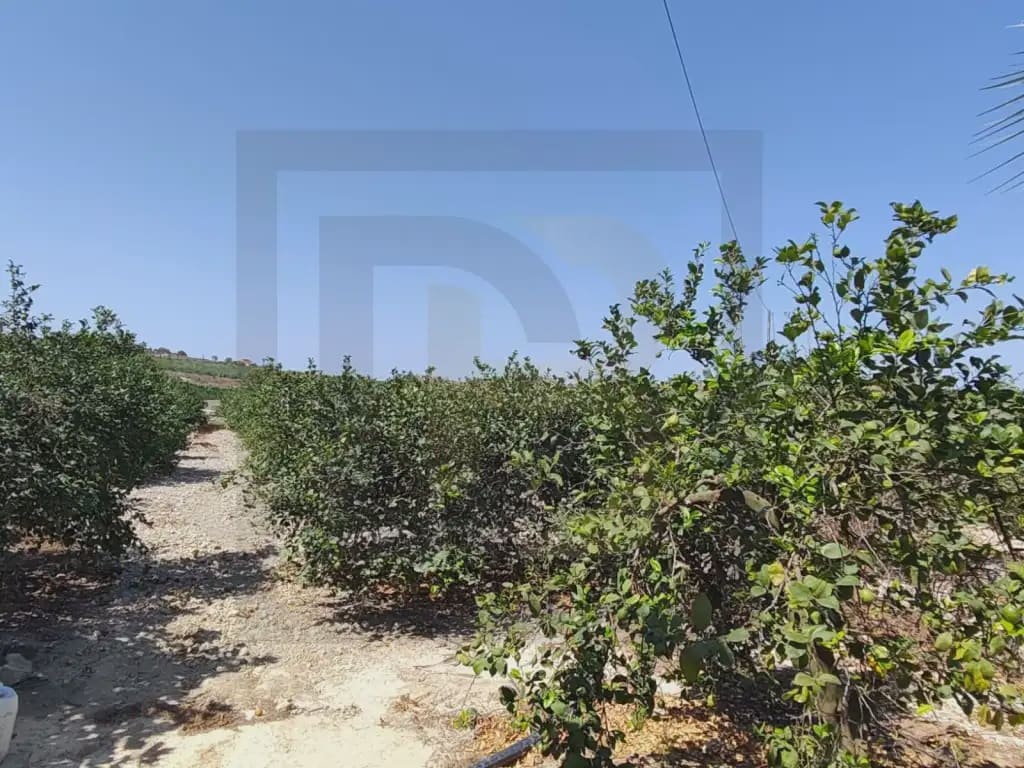 Finca/Country House for sale in Orihuela - € 470,000 (Ref: 10081701)