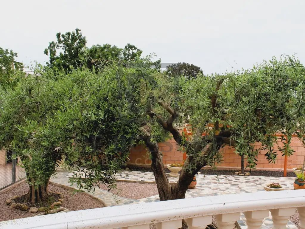 5 soverom Kjedet enebolig til salgs i Orihuela med garasje - € 450 000 (Ref: 10081720)