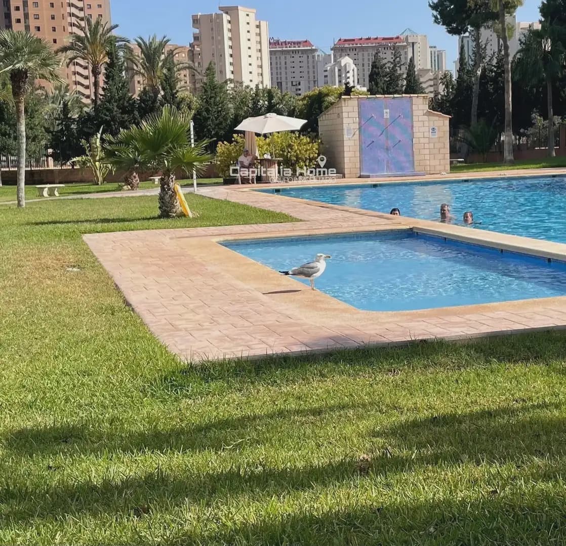 3 quarto Apartamento para venda em Benidorm com piscina - 295 000 € (Ref: 10081618)