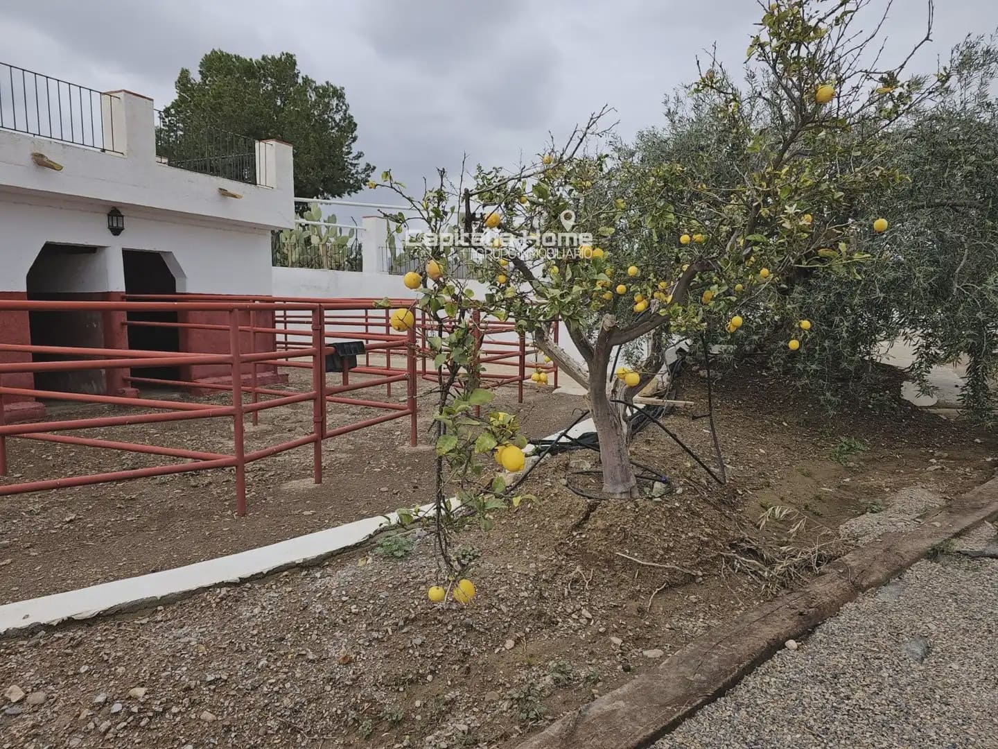 7 soveværelse Finca/Landehus til salg i Calabardina med garage - € 850.000 (Ref: 10081619)