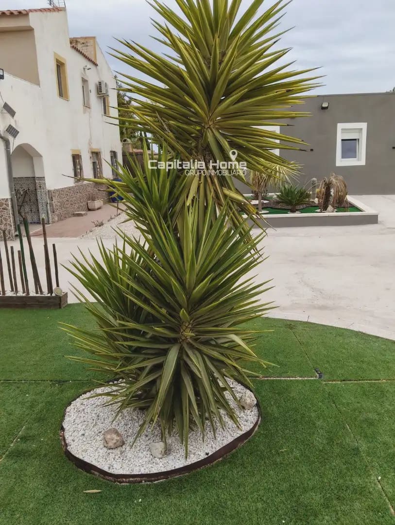 Finca/Country House for sale in Poblacion de Arroyo with pool - € 380,000 (Ref: 10130960)