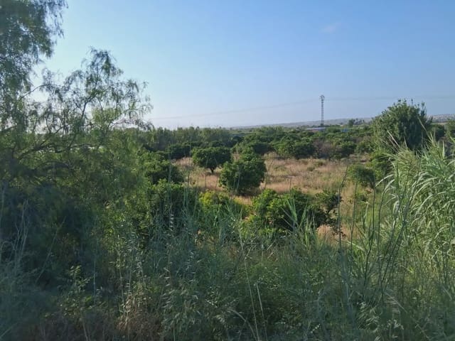 Terreno Não Urbanizado para venda em Guardamar Playa, Guardamar del Segura - 39 000 € (Ref: 10081801)