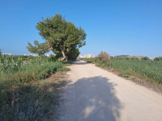 Terreno Não Urbanizado para venda em Guardamar Playa, Guardamar del Segura - 39 000 € (Ref: 10081801)