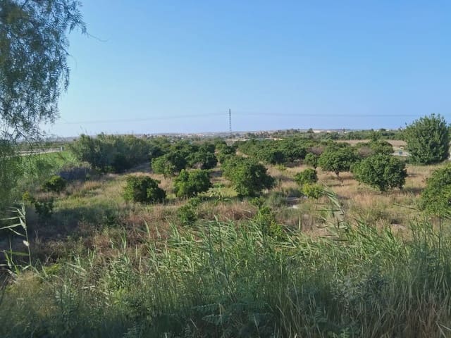 Terreno Não Urbanizado para venda em Guardamar Playa, Guardamar del Segura - 39 000 € (Ref: 10081801)